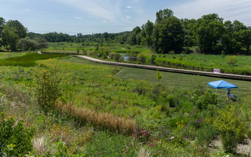 Gorgeous views on the Border to Border trail. Dexter, MI Border to Border Trail