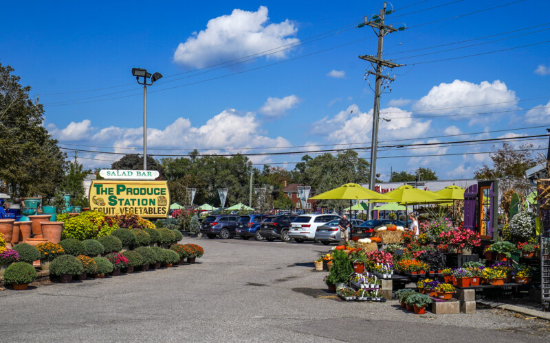 The Produce Station on State Street has plants for sale on their outside patio and lots of local produce to choose from inside their shop. Lots of plants for sale outside the produce shop.