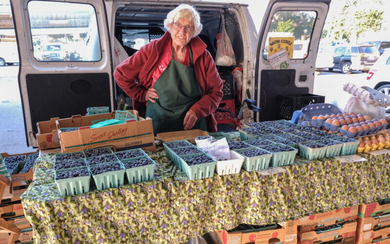 Carol Brooks ann arbor farmers market Top Real Estate Agent in Ann Arbor