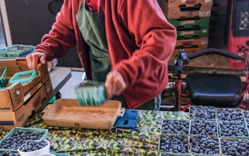 Carol Brooks ann arbor farmers market