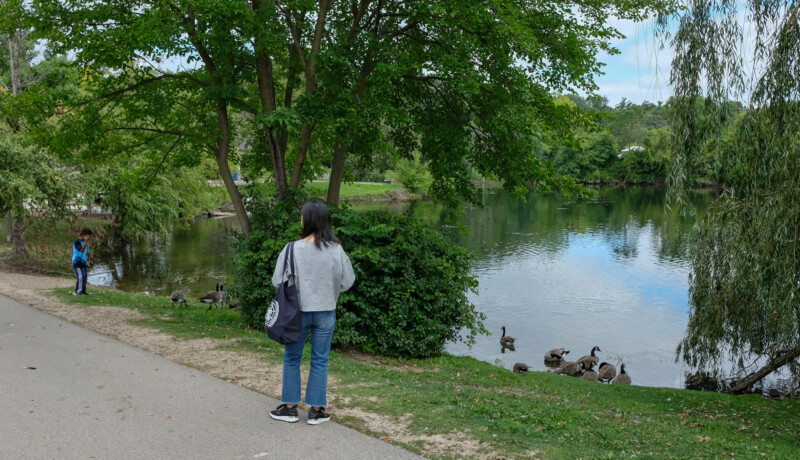 Gallup Park Walking Trail