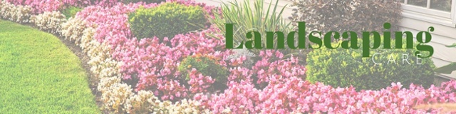 Landscaping_Care