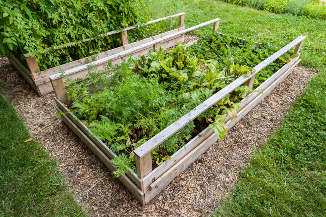 Custom built raised garden beds