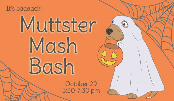 10_muttstermashbash