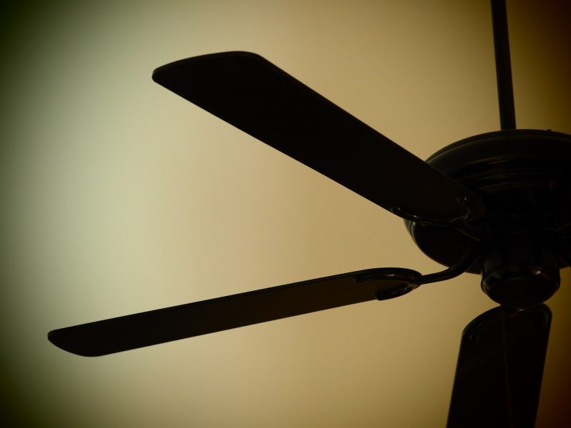 Ceiling fan need summer home maintenance to get rid of winter dust