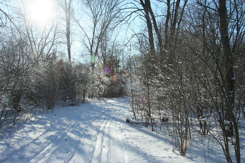 Winter in Ann Arbor MI.