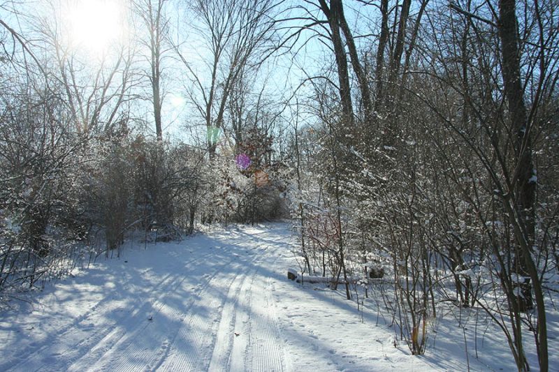 Winter in Ann Arbor MI.