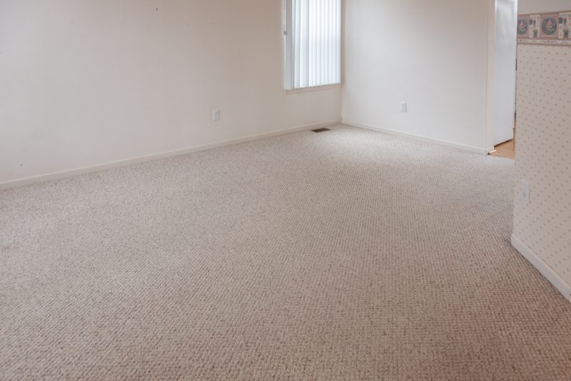 Ypsilanti Township 4 Bedroom in Amberly Grove Piper Partners