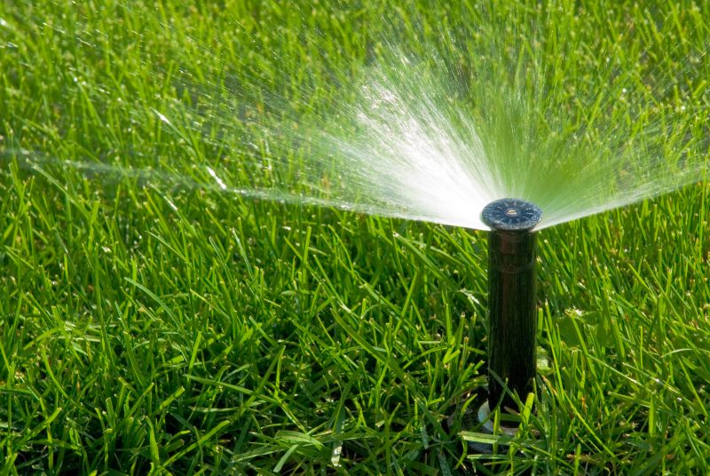 ann arbor spring sprinkler maintenance is important. Don't waste money on leaks