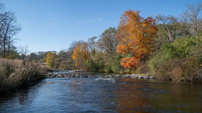 The beautiful Huron River in Ann Arbor, MI.