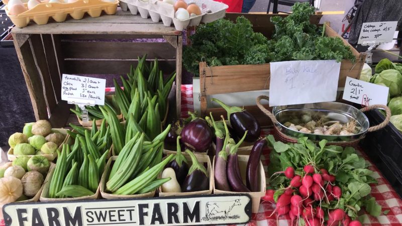 One of the CSA attending the CSA fair, Jacobs Fresh Farm, is an all-natural farm growing everything from arugula to zucchini. They provide produce the old fashion way by harnessing the power of mother nature.