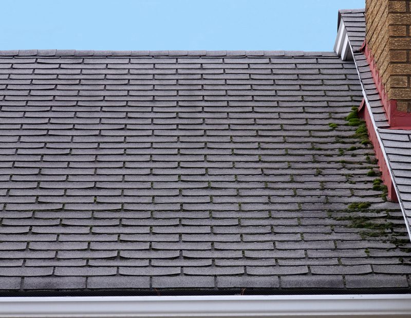 Water damage on a roof. There is moss growing and evidence of water settling. 