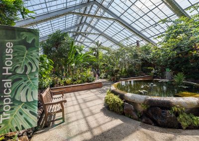 Tropical Room at the Matthaei Botanical Gardens.