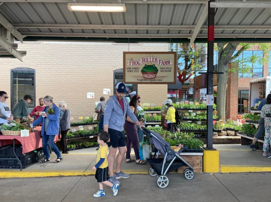 Frog Holler Farm sells many plants at the farmer's market. Source: Frog Holler Farm.