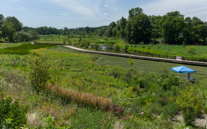Gorgeous views on the Border to Border trail. Dexter, MI Border to Border Trail