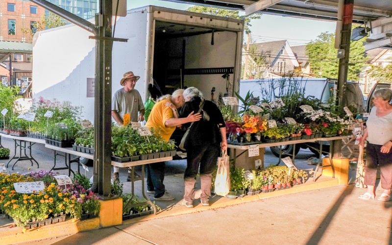 ann arbor farmers market