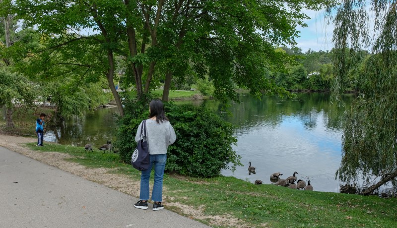 Gallup Park Walking Trail